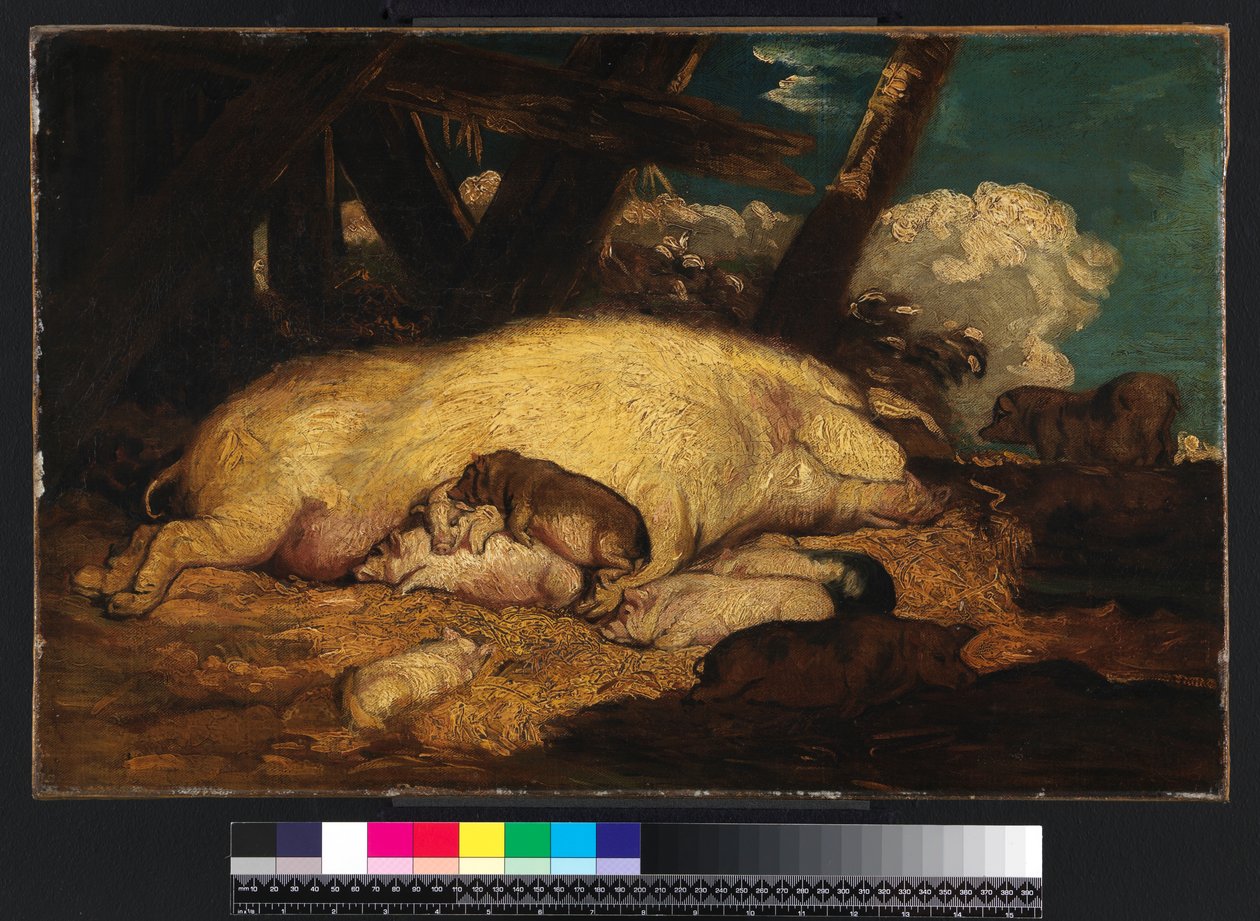 Prasata, ne před rokem 1793 od James Ward