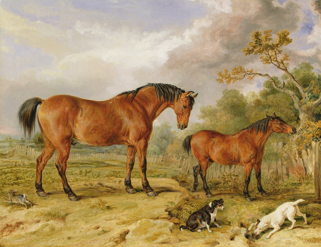Portrét reformátora, Bluchera, Toryho a jesličky, majetek Rowlanda Alstona, Esq. od James Ward