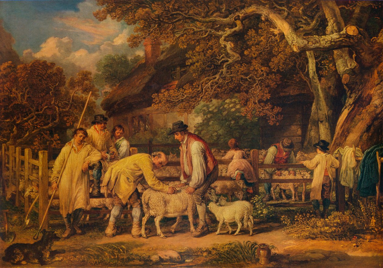 Střih ovcí, 1828, 1938 od James Ward