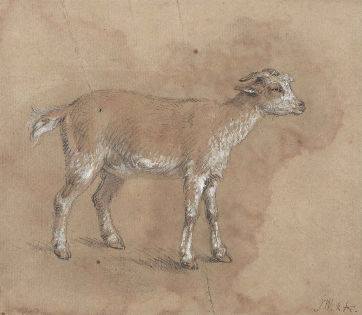 Studie dítěte od James Ward