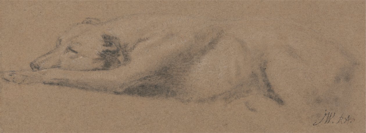 Studie spícího psa od James Ward