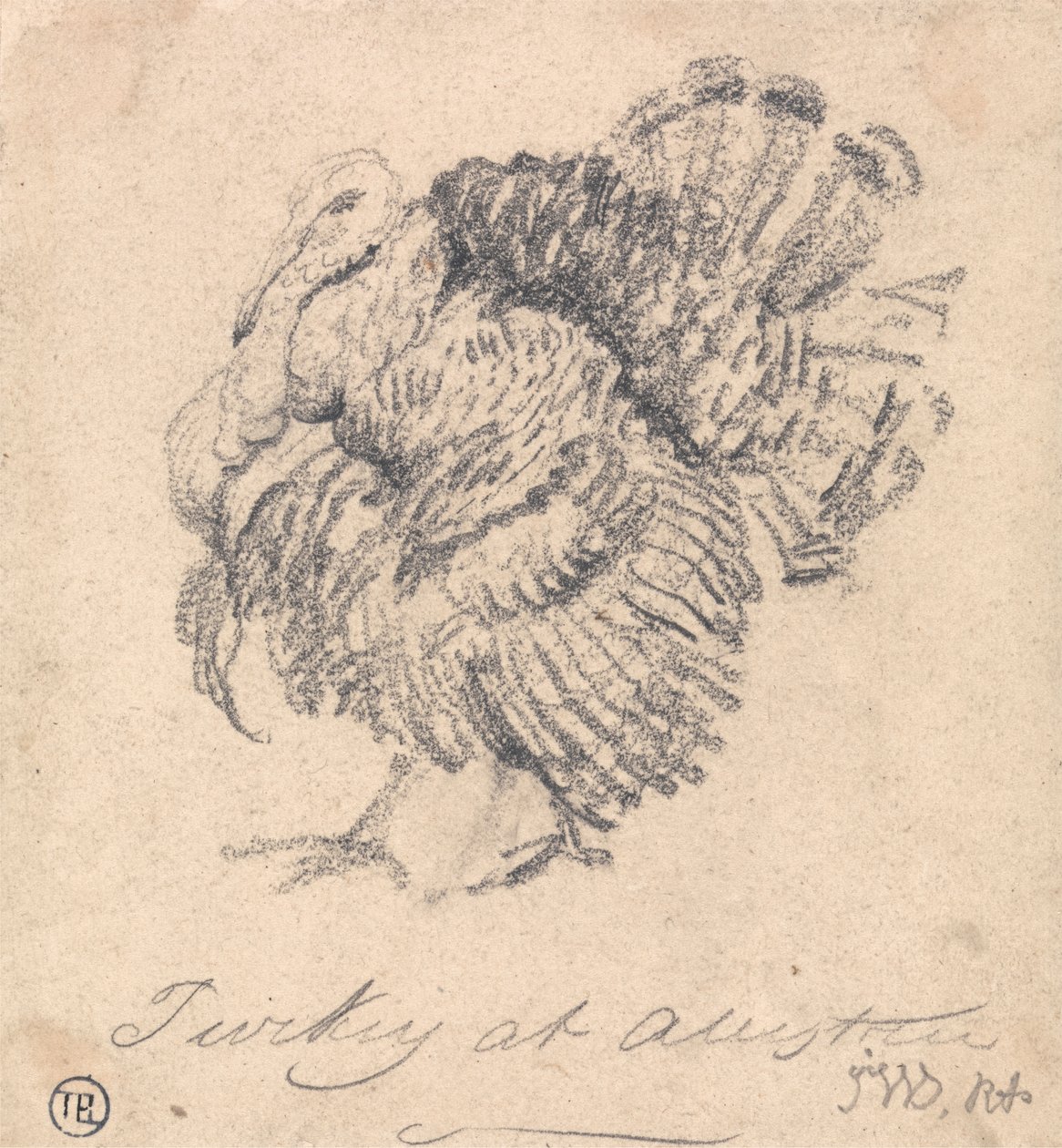 Studie o Turecku od James Ward