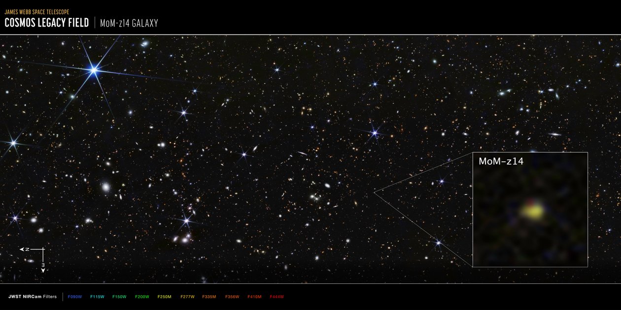 Galaxie MoM-z14 v poli COSMOS (snímek z kamery NIRCam) od James Webb Space Telescope (NASA)