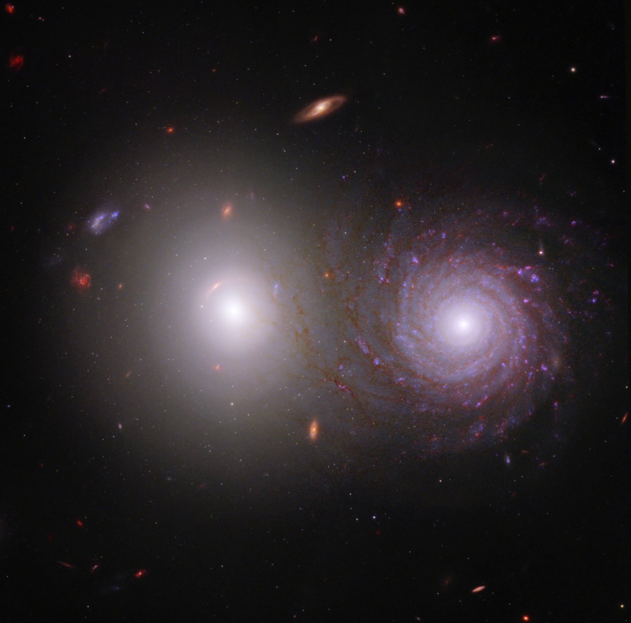 Interacting Galaxies VV 191 (složený snímek Webb a Hubblea) od James Webb Space Telescope (NASA)