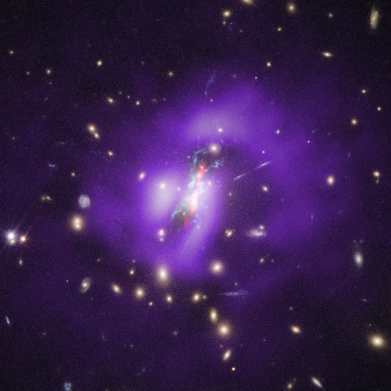 Kupy Phoenix (Hubble, Chandra, VLA) od James Webb Space Telescope (NASA)