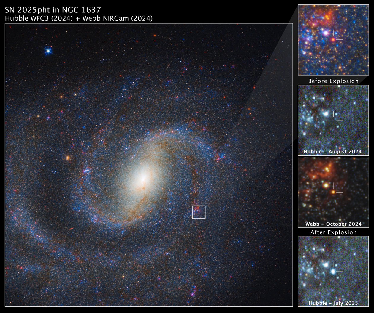 SN 2025pht v NGC 1637 od James Webb Space Telescope (NASA)