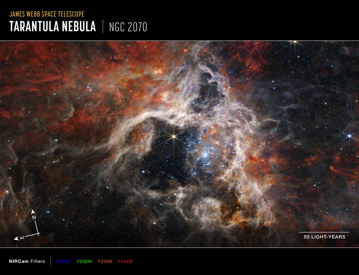 Mlhovina Tarantule (obrázek kompasu NIRCam) od James Webb Space Telescope (NASA)