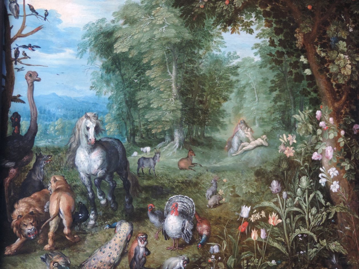 Ráj se stvořením Evy od Jan Brueghel the Younger