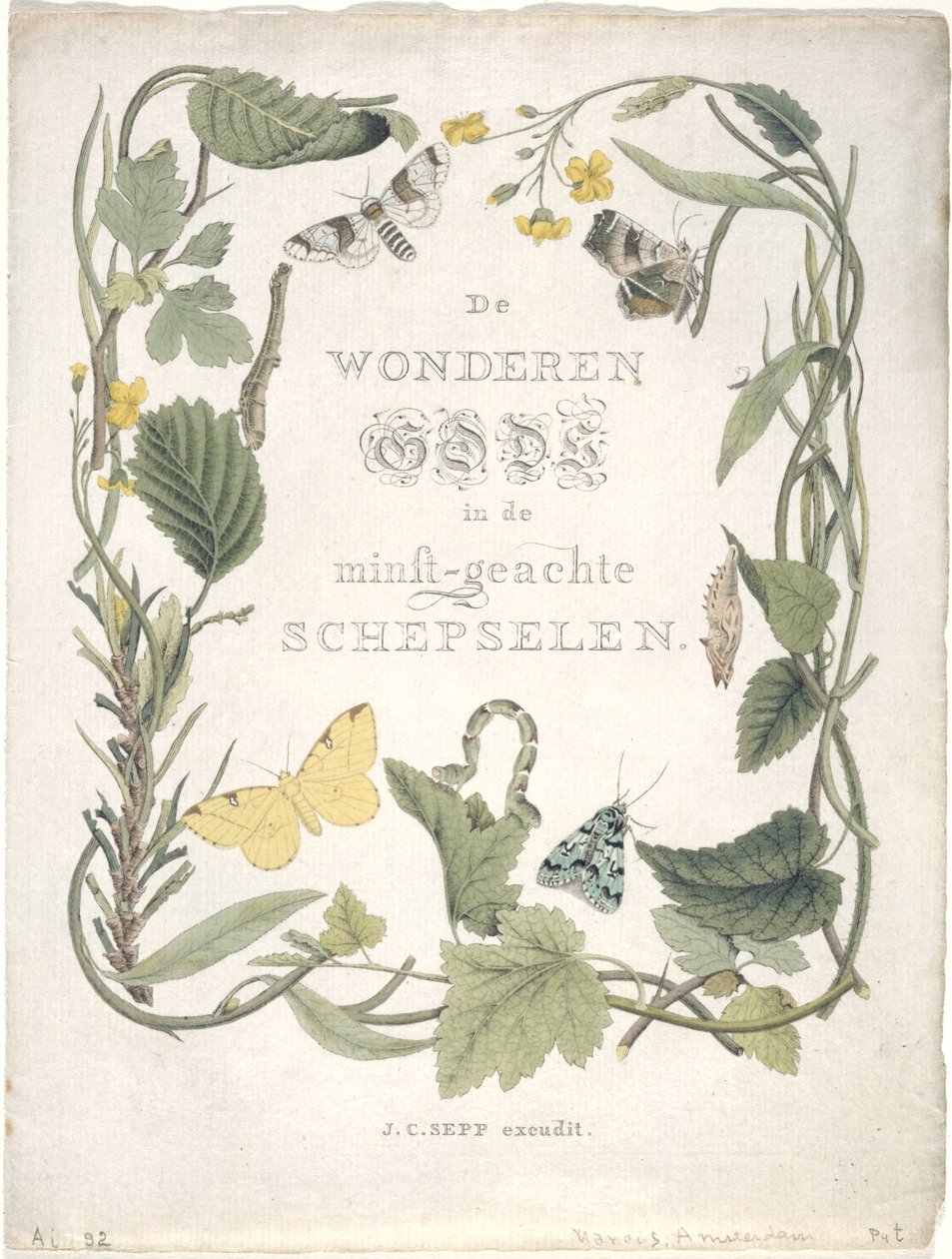 Noční motýli první rodiny prvního gangu. Tab. III., 1762-1860 od Jan Christiaen Sepp