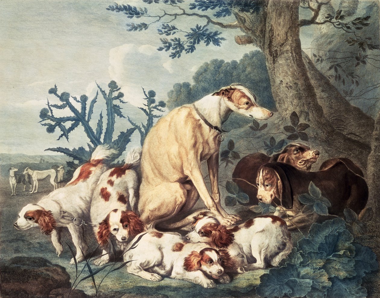 Portréty psů, ryl Daniel Lerpiniere (c.1745-85), pub. od John und Josiah Boydell, 1799 (tečkovaná rytina) od Jan Fyt