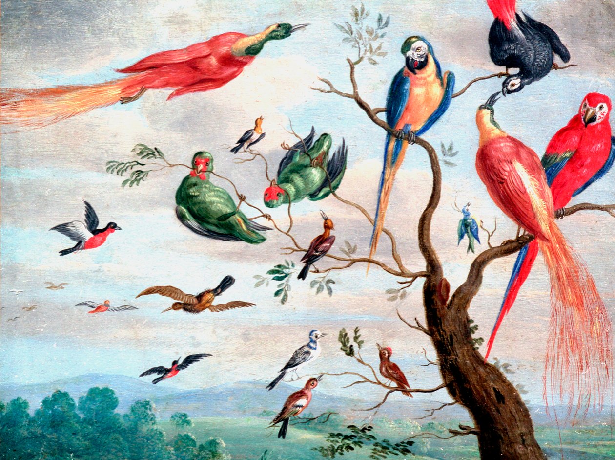 The Chorus of Birds, cca 1650-1675 (olej na kovu) od Jan Thomasz. van Kessel