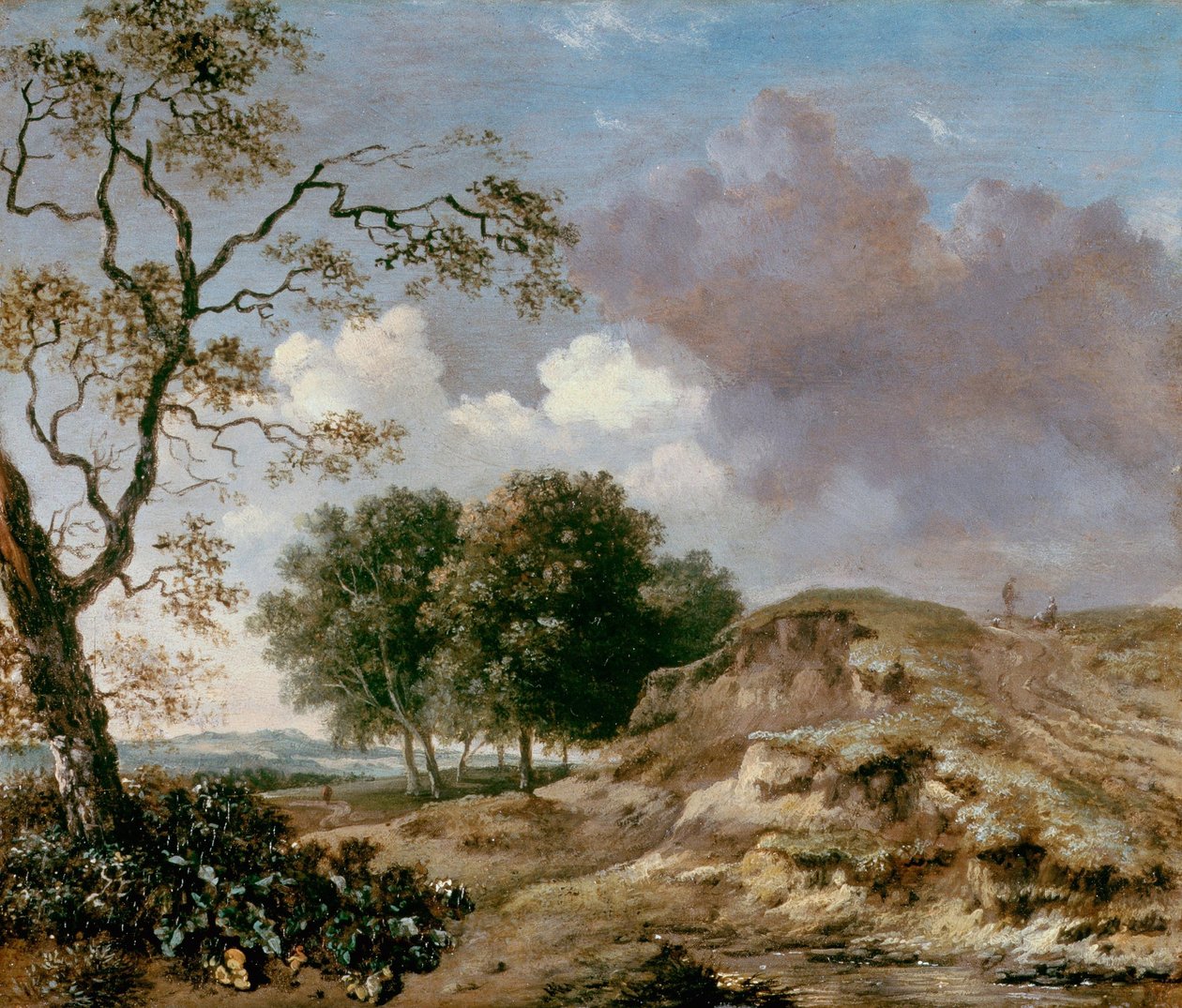 Krajina od Jan Wijnants