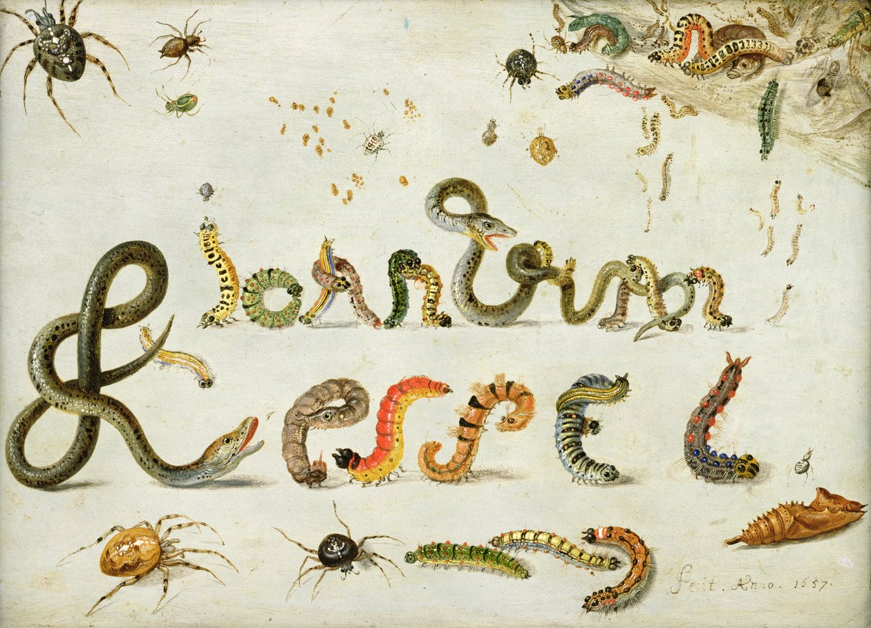 Zahradní a jiní pavouci, housenky hláskují jméno umělce, 1657 (olej na mědi) od Jan van Kessel the Elder