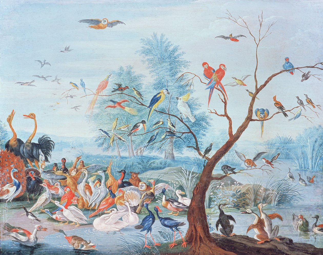 Tropičtí ptáci v krajině od Jan van Kessel the Elder