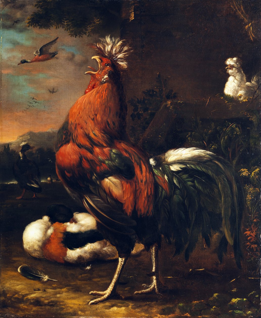 Hrdý kohout od Jan van Oolen