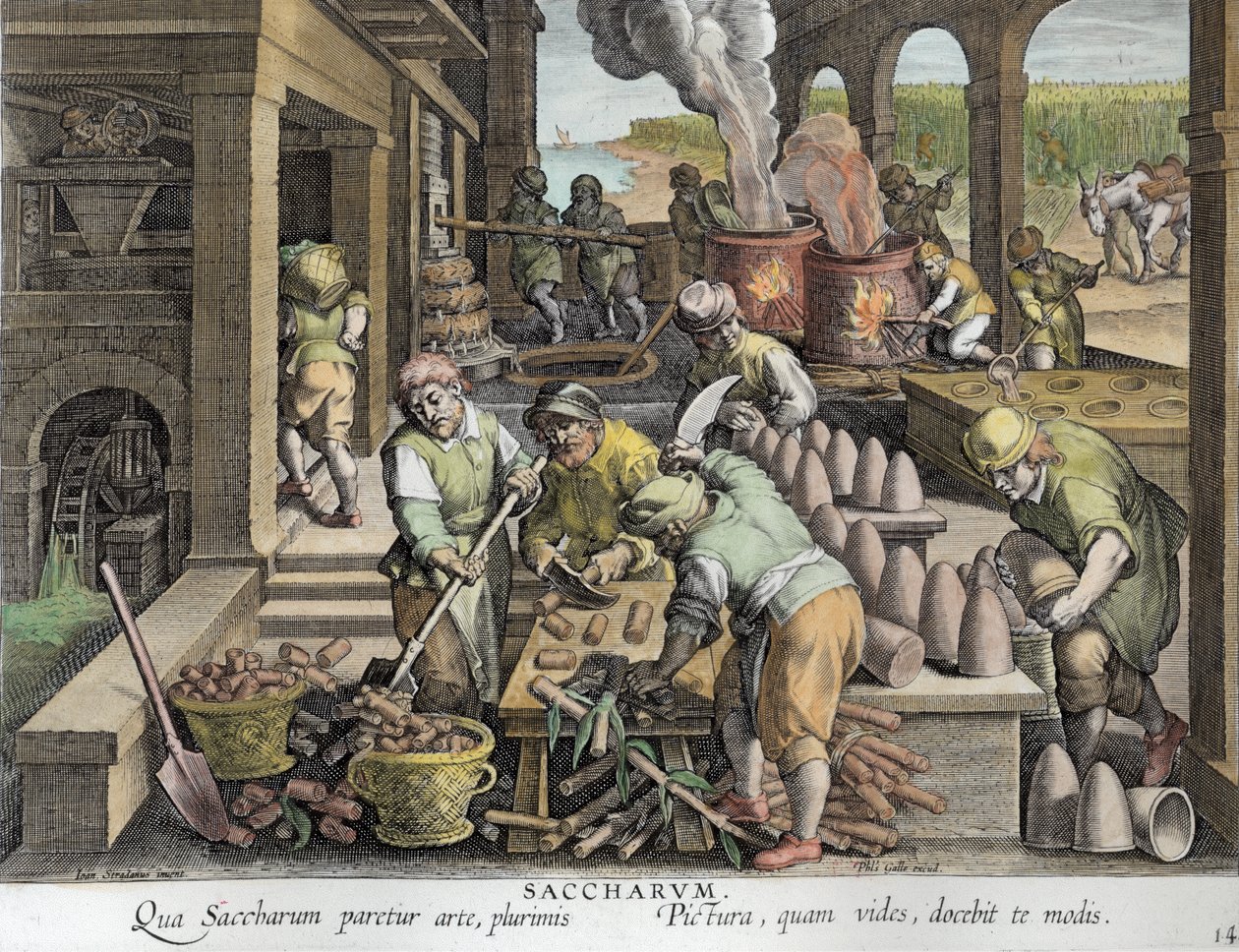 Cukrárna a výroba cukrových homolí, deska 14 z „Nova Reperta“ (Nové objevy), vyrytá Philipem Gallem (1537-1612) kolem 1600 (pozdější kolorování) od Jan van der Straet