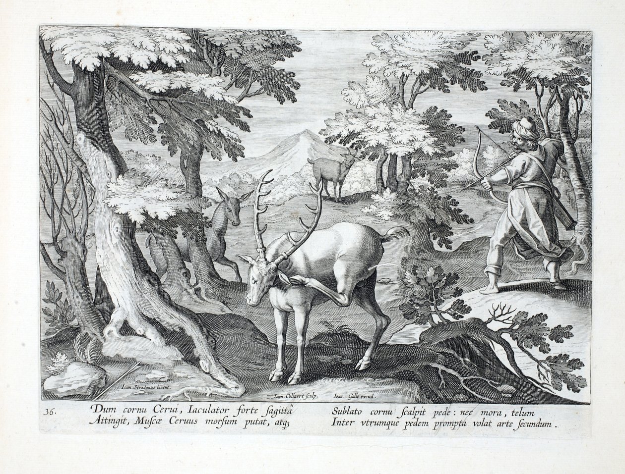 Zatímco jelen se škrábe nohou do paroží, lovec s oběma nohama vpřed vystřelí šíp vzduchem, ilustrace z „Venationes, Ferarum, Avium, Piscium“ (O lovu: divoká zvířata, pták od Jan van der Straet