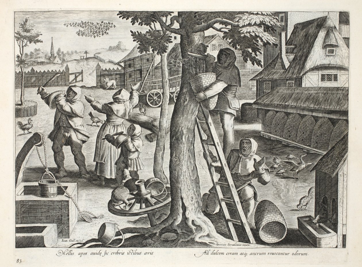 Včelaři, deska 83, ilustrace z knihy "Venationes, Ferarum, Avium, Piscium" (O lovu: divoká zvěř, ptáci, ryby), vyryl Jan Collaert (1566-1628), vydal Phillipus Gallaeus, Amsterdam (engra. od Jan van der Straet