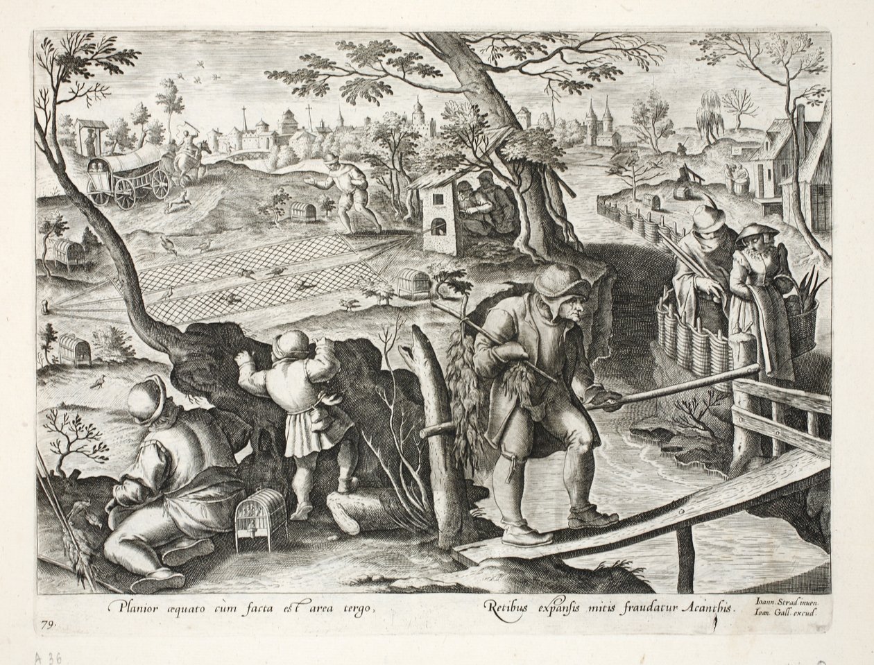 Birdcatchers lapající špačky, ilustrace z 