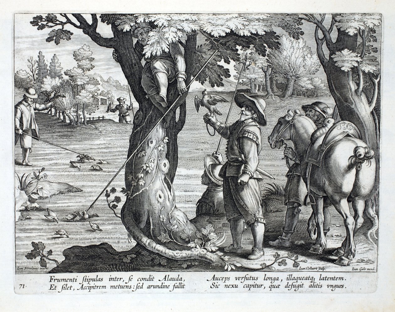 Lapači ptáků pomocí prutů s kroužky k chytání ptáků, ilustrace z 