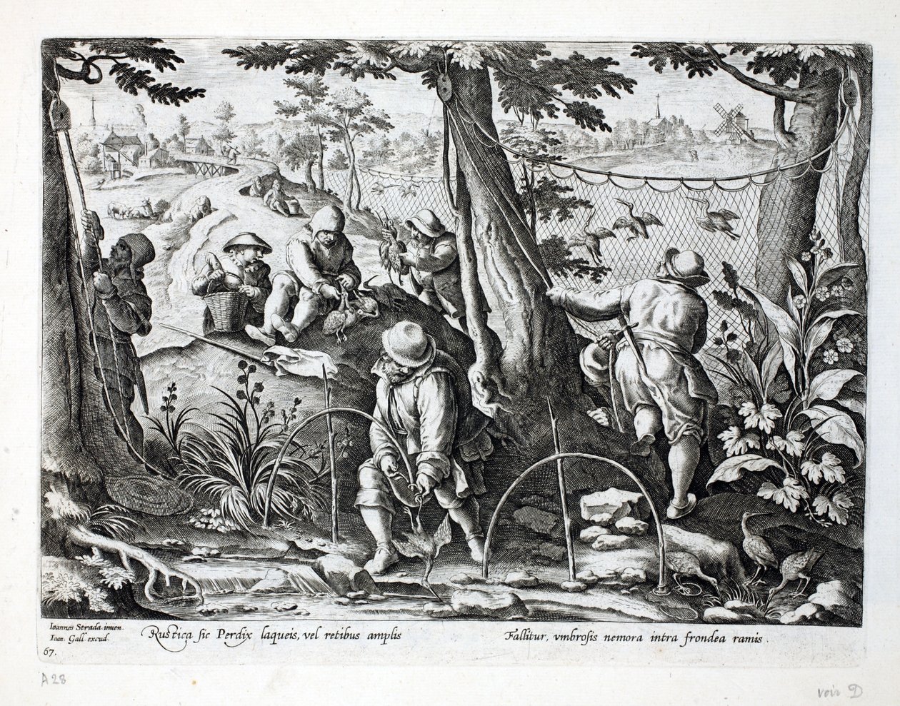 Lapači ptáků pomocí pastí k lovu koroptve, ilustrace z 