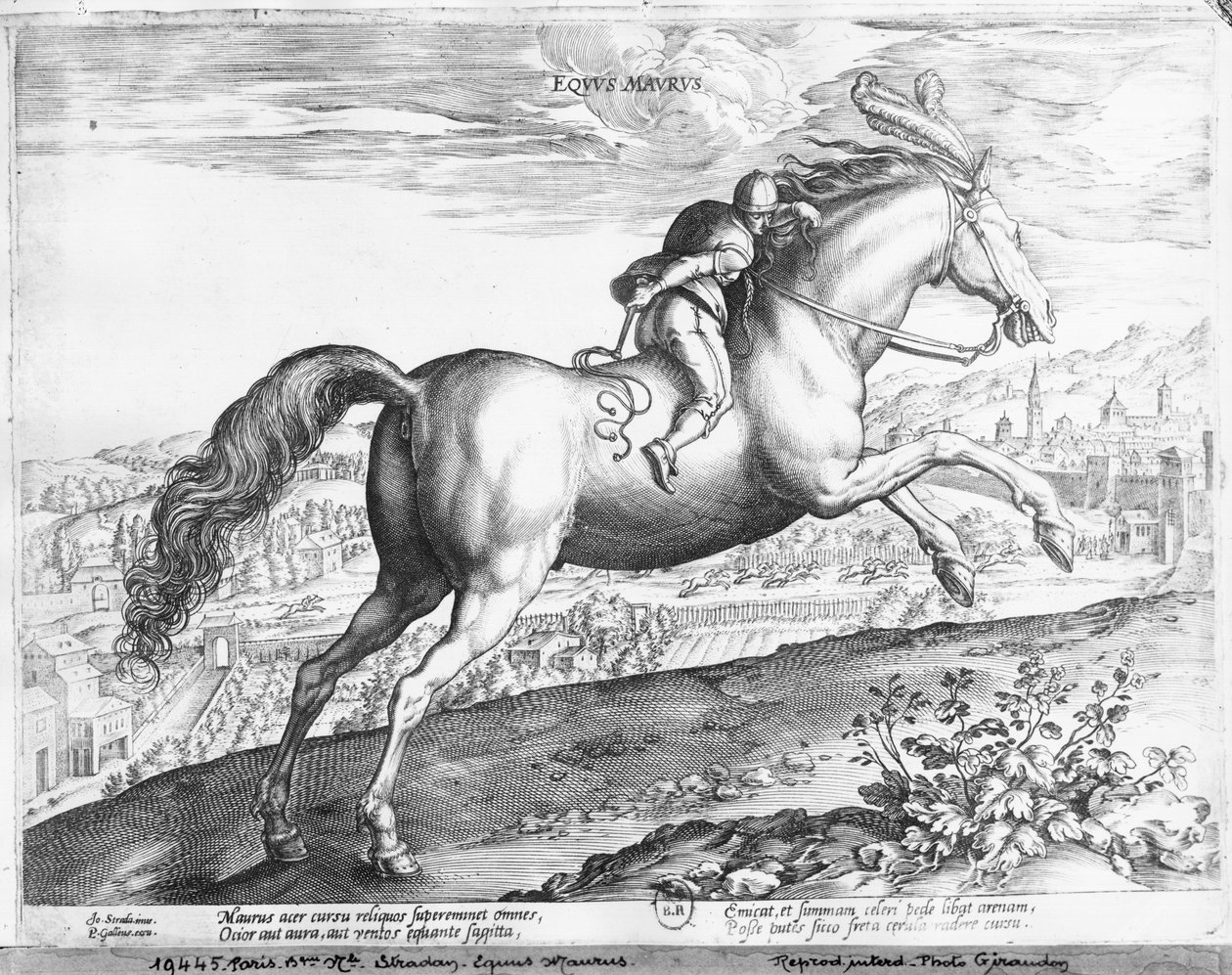 Horse Moor od Jan van der Straet