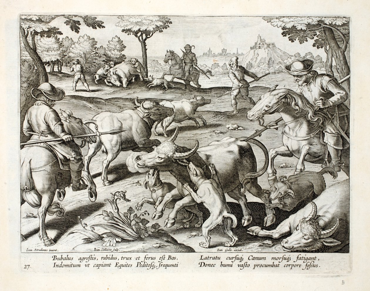 Lov divokého vola, ilustrace z 