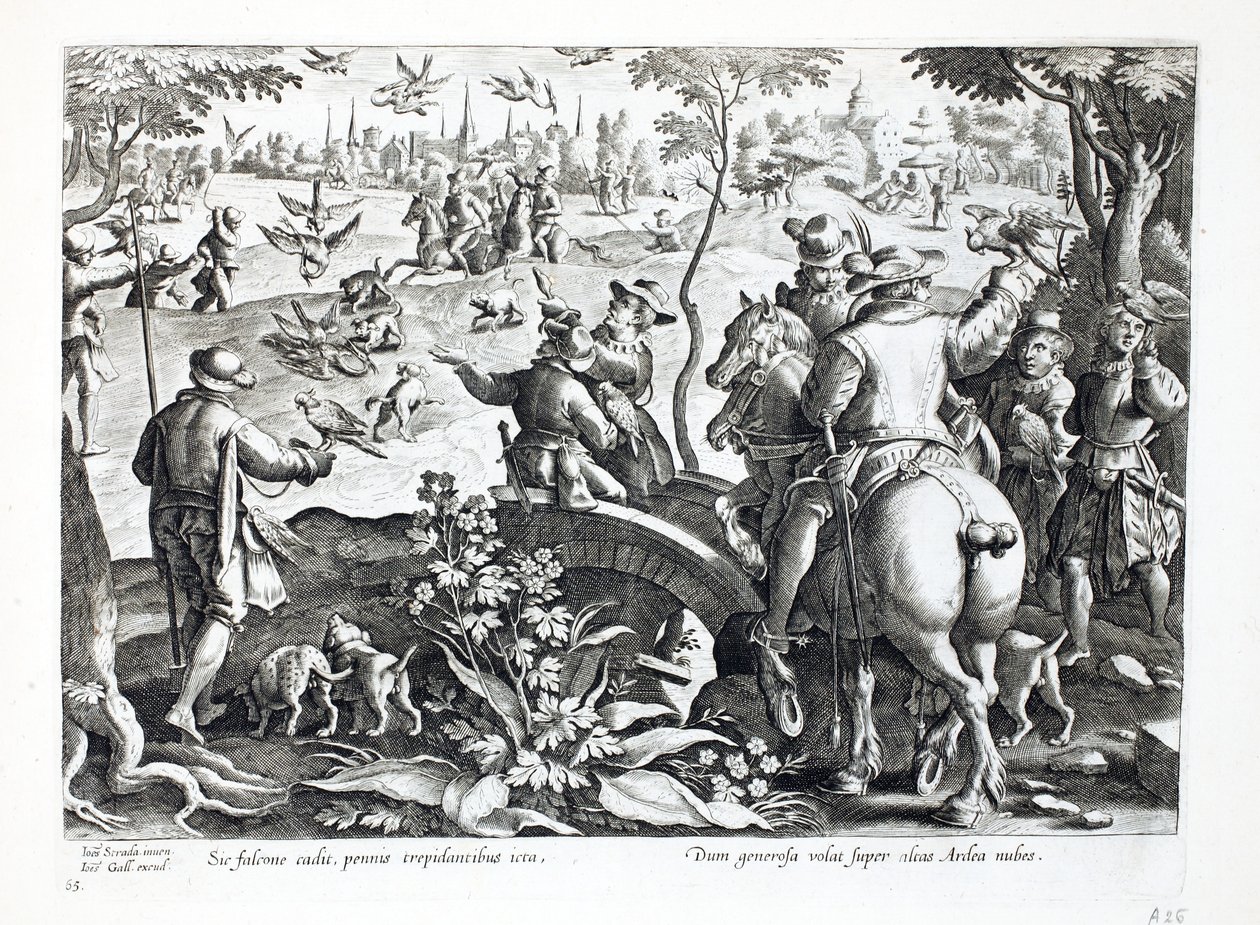 Lov se sokoly, ilustrace z knihy "Venationes, Ferarum, Avium, Piscium" (O lovu: divoká zvěř, ptáci, ryby), vyryl Jan Collaert (1566-1628), vydal Phillipus Gallaeus, Amsterdam (engra od Jan van der Straet