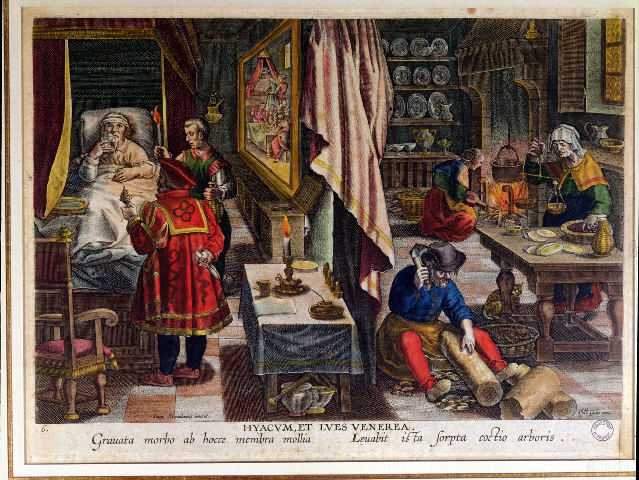 Příprava a použití Guayaco pro léčbu syfilis, vyryl Philip Galle (1537-1612) c.1570 (viz také 91596) od Jan van der Straet