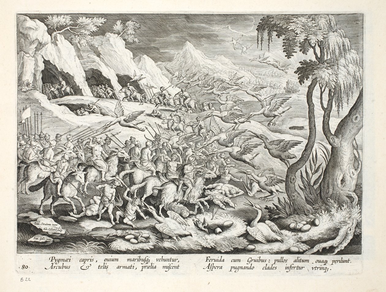 Pygmejové na lovu koz Jeřáb, ilustrace z 