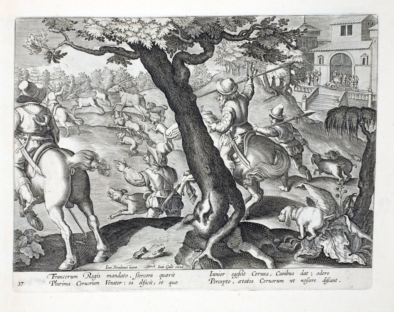 Francouzský král lov jelenů se psy, ilustrace z 