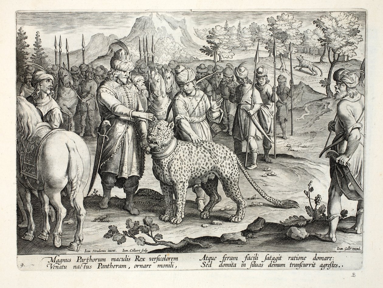 Velký král Parthů loví se svými krotkými pantery, ilustrace z 