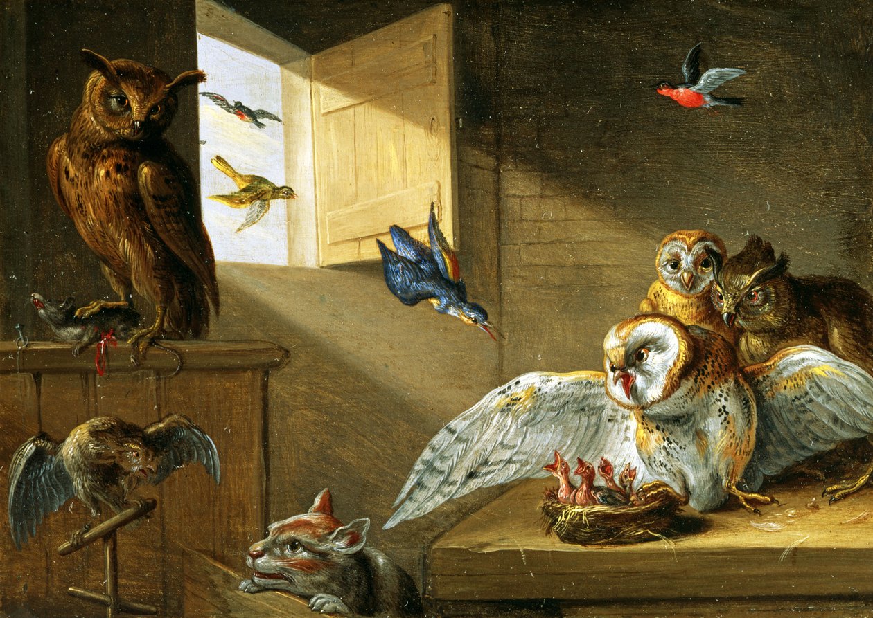 Rodinka sov, jiných ptáků a kočky (olej na mědi) od Jan van Kessel the Elder
