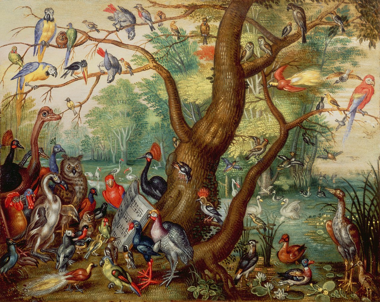 Koncert ptáků (olej na mědi) od Jan van Kessel the Elder