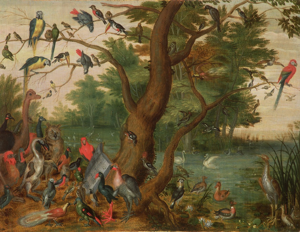 Koncert ptáků (panel) od Jan van Kessel the Elder