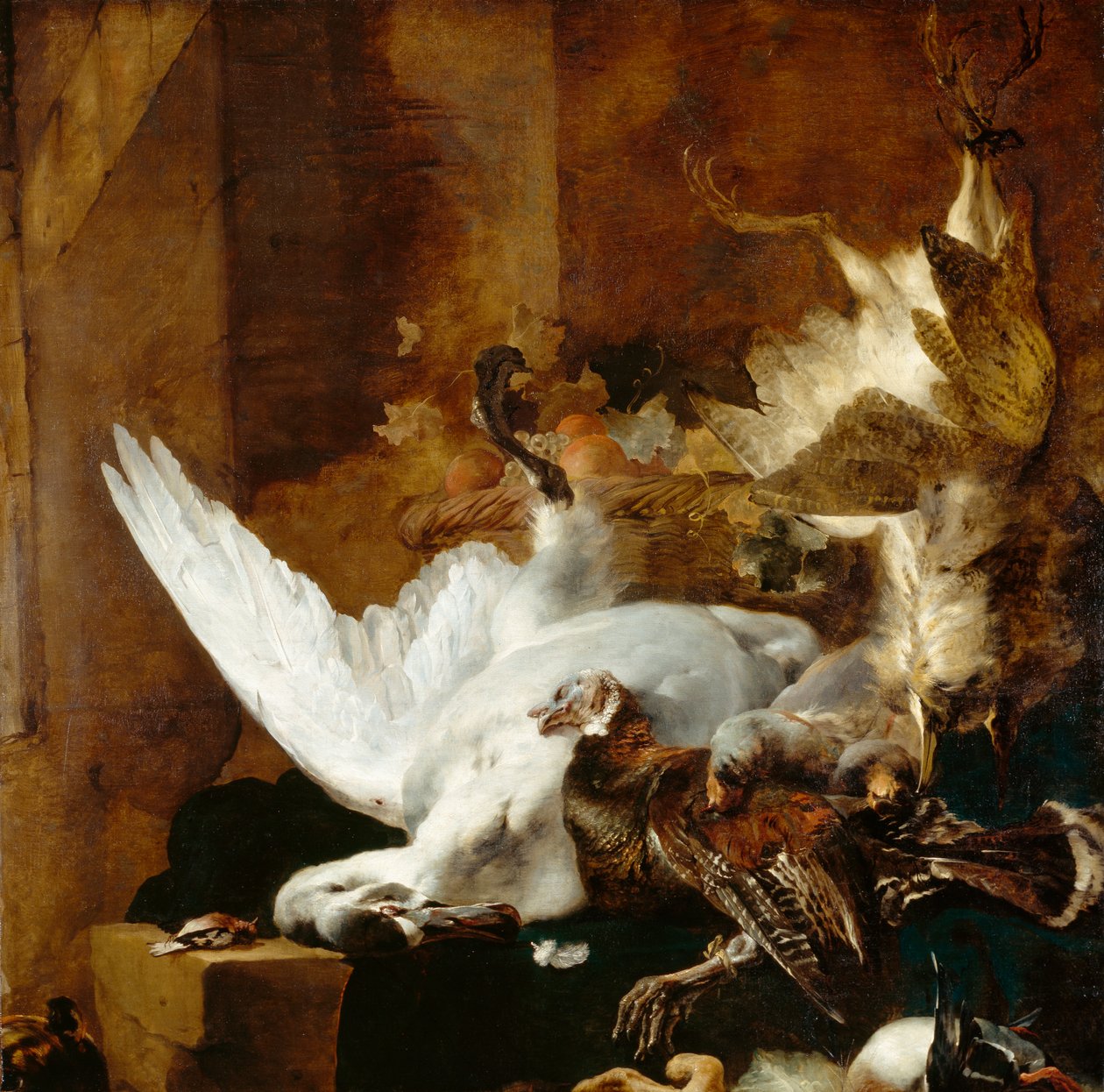 Zátiší s mrtvou labutí, c.1651 od Jan Baptist Weenix