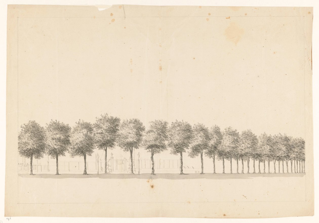 Bomenallee v Batavia od Jan Brandes