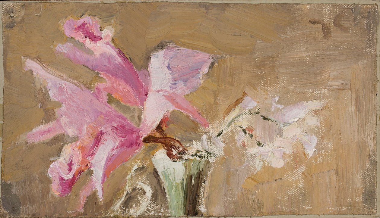 Orchidej od Jan Ciągliński
