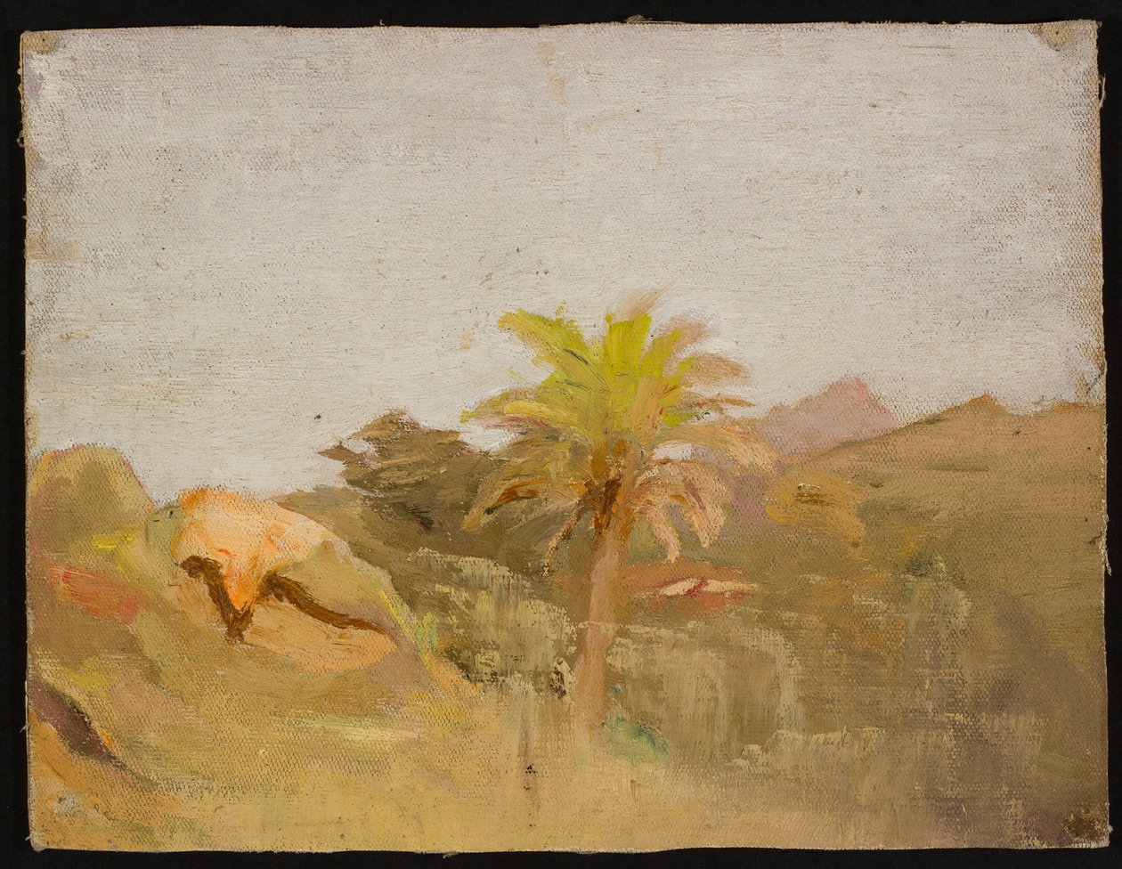 Palme auf Ceylon. Aus einer Reise nach Indien od Jan Ciągliński