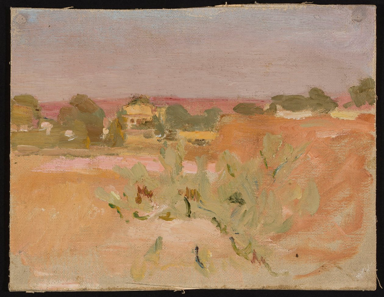 Rosa Landschaft mit Kakteen. Aus einer Reise nach Indien od Jan Ciągliński
