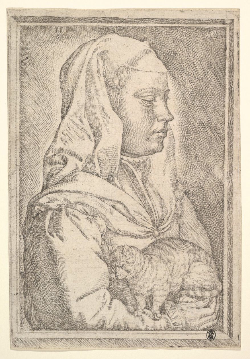 Dívka s kočkou, 1546. od Jan Cornelisz Vermeyen