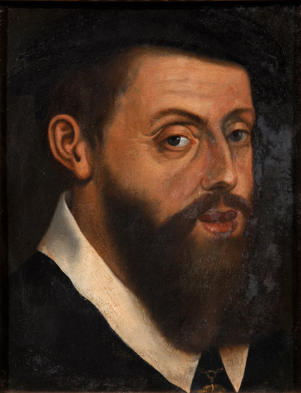 Portrét císaře Karla V. 1500-1558 od Jan Cornelisz. Vermeyen