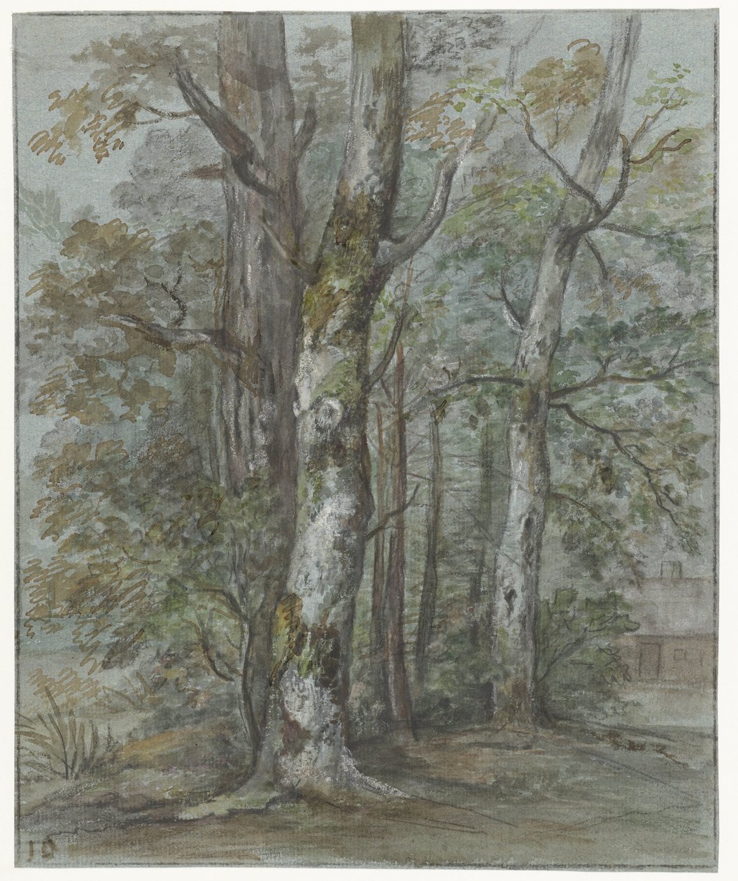 Studie stromů od Jan Dasveldt