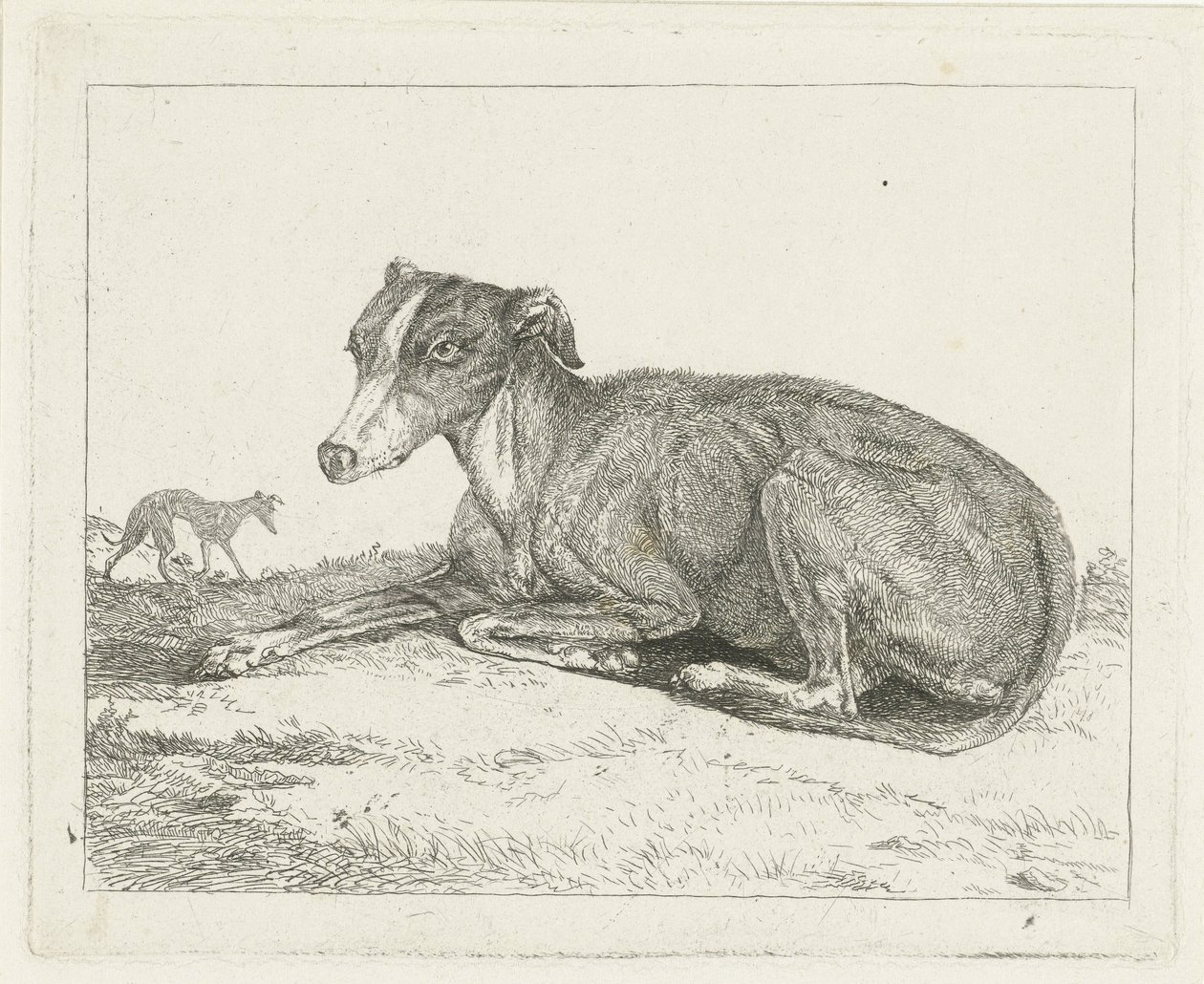chrti od Jan Dasveldt