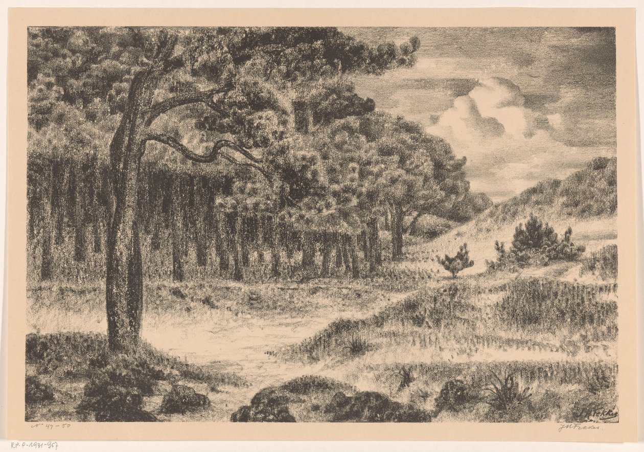 Les v kopcovité krajině od Jan Fekkes (signed by artist)