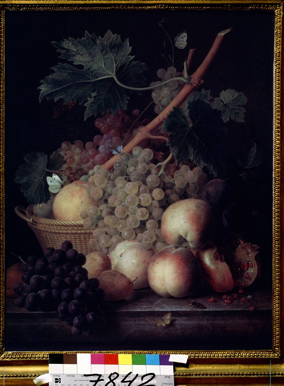 ""Ovoce"" Zátiší z broskví, hroznů, hrušek a granátových jablek s motýly a vosou. Obraz Jeana Francoise van Daela (1764-1840) 1808 Puškinovo muzeum, Moskva od Jan Frans van Dael
