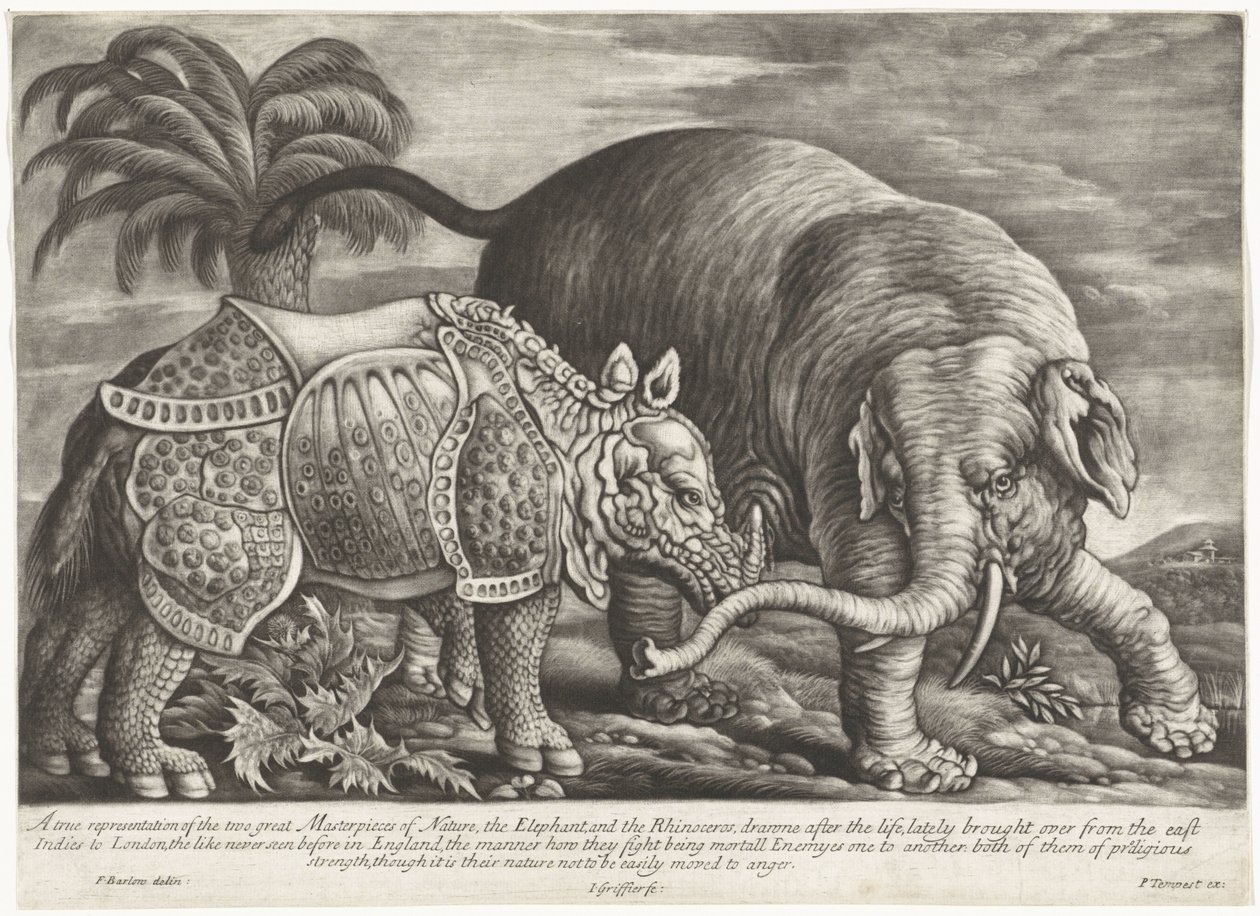 Olifant een neushoorn Skutečné zobrazení dvou velkých mistrovských děl přírody, slona a nosorožce (název na předmětu) od Jan Griffier (I)