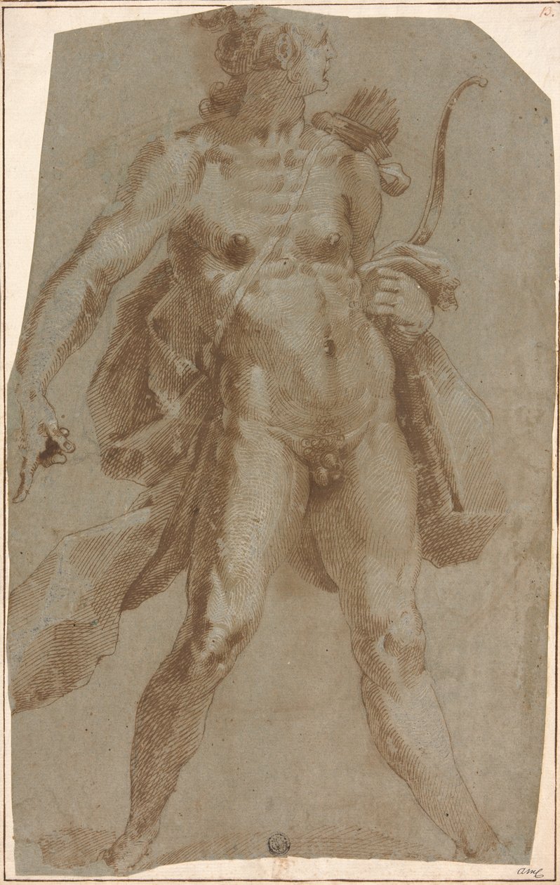 Apollo od Jan Harmensz. Muller