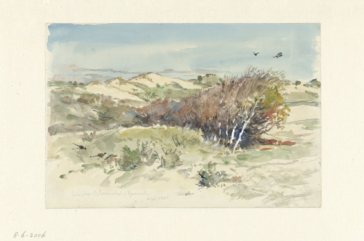 Dunová krajina mezi Bloemendaal a IJmuiden od Jan Hoynck van Papendrecht