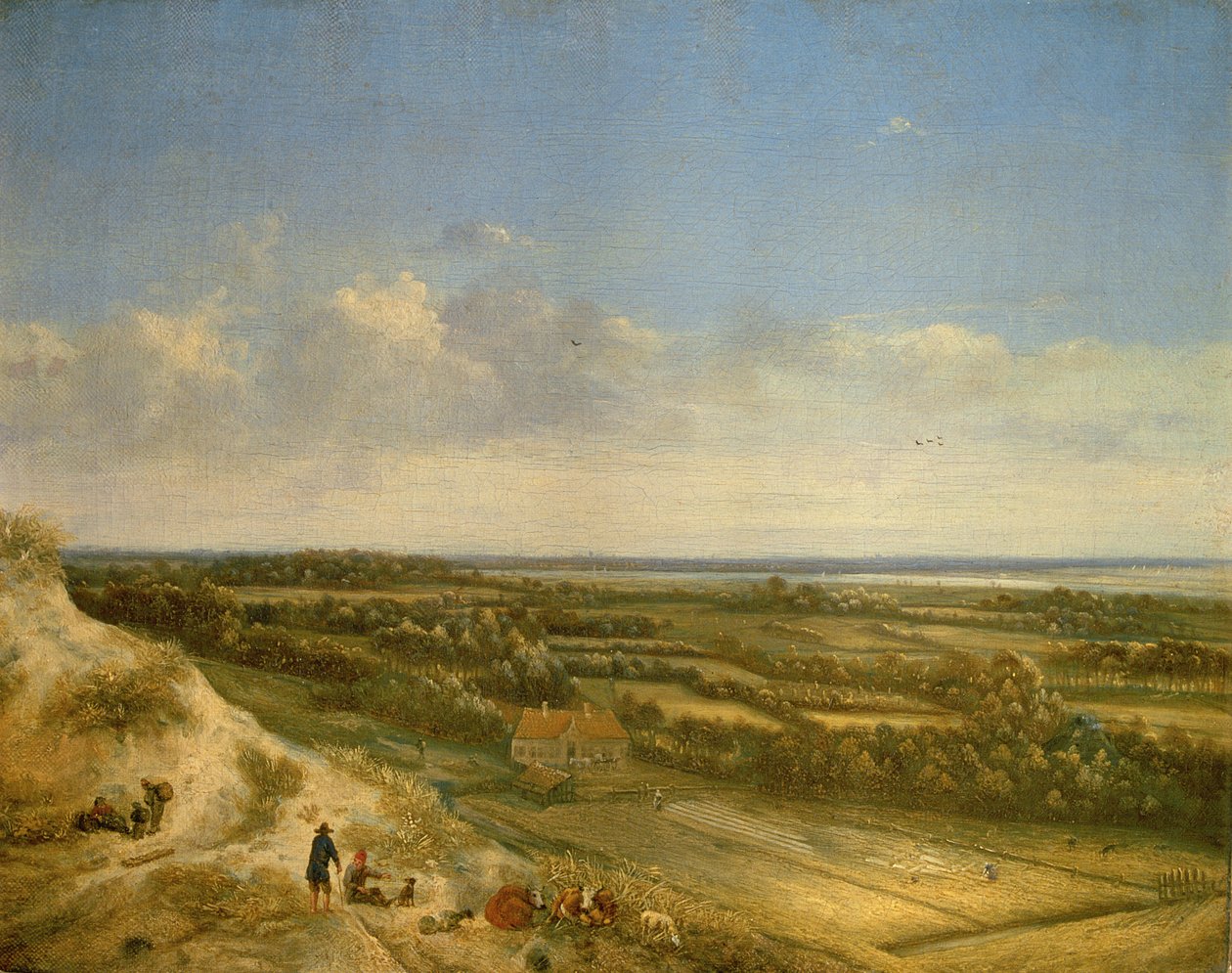 Krajina dun, pravděpodobně poblíž Santpoortu, kolem roku 1675 (olej na plátně) od Jan II Vermeer van Haarlem